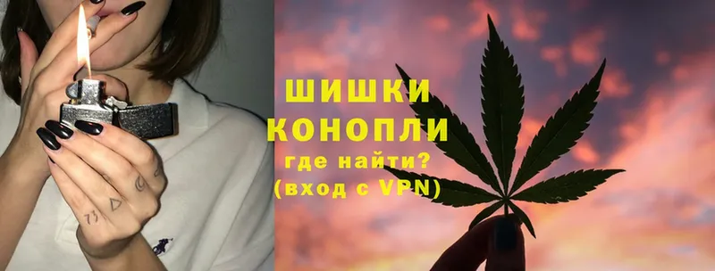 Бошки марихуана THC 21%  как найти закладки  Орехово-Зуево 